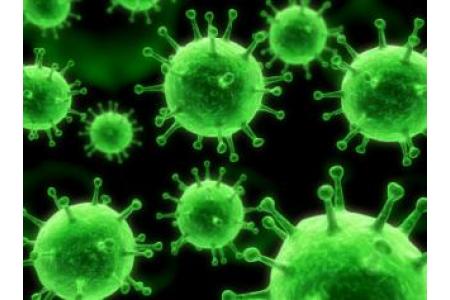 hepatitis b