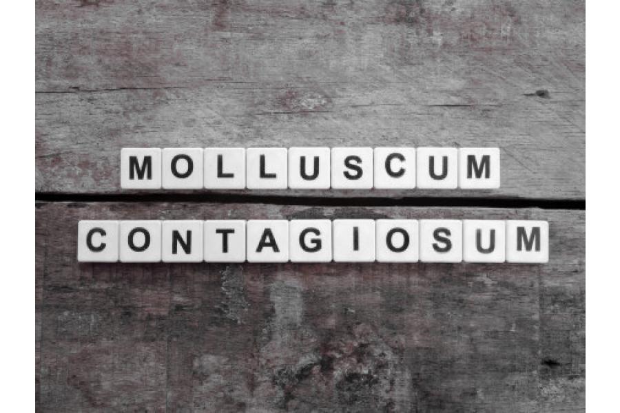 molusco contagioso