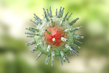 mononucleosis