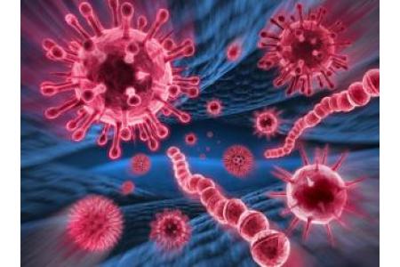 mycoplasma genitalium