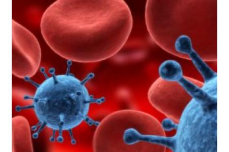 Virus del Papiloma humano
