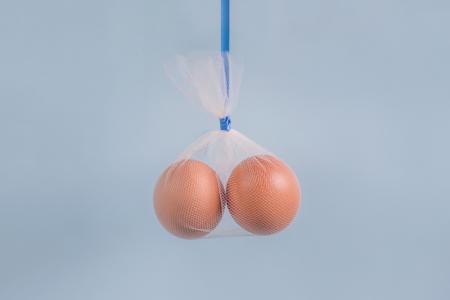 testiculos