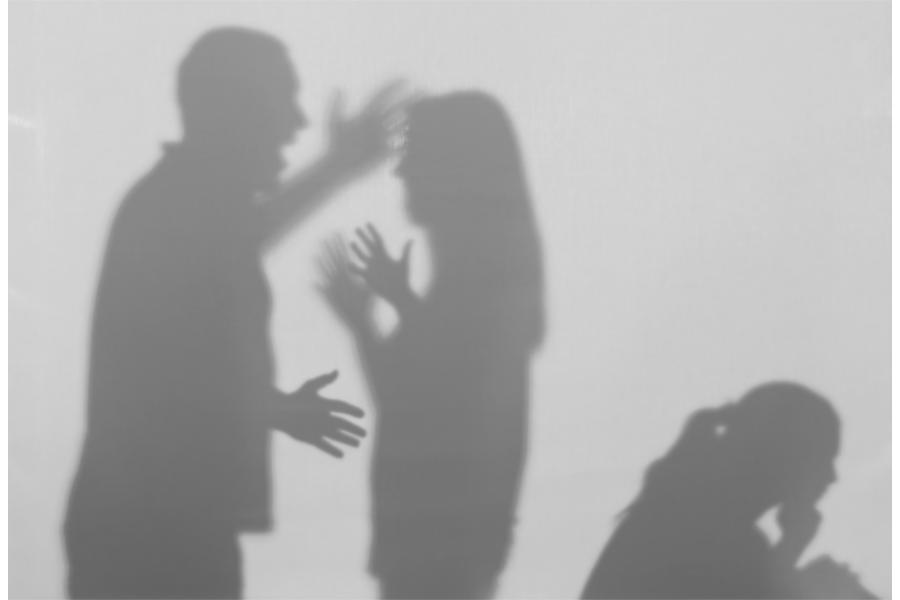 violencia domestica