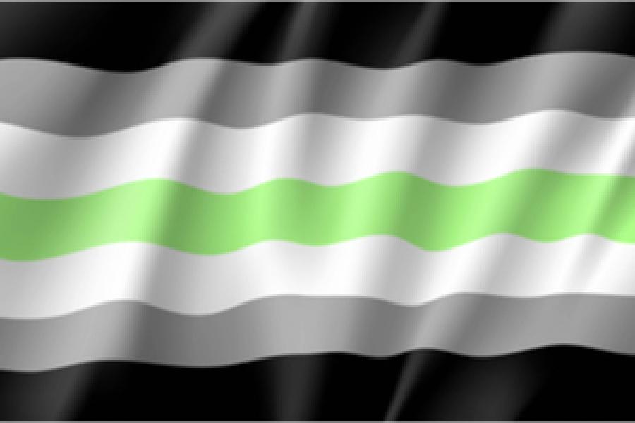 bandera agenero