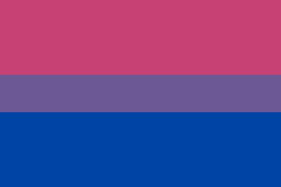 bandera bisexual