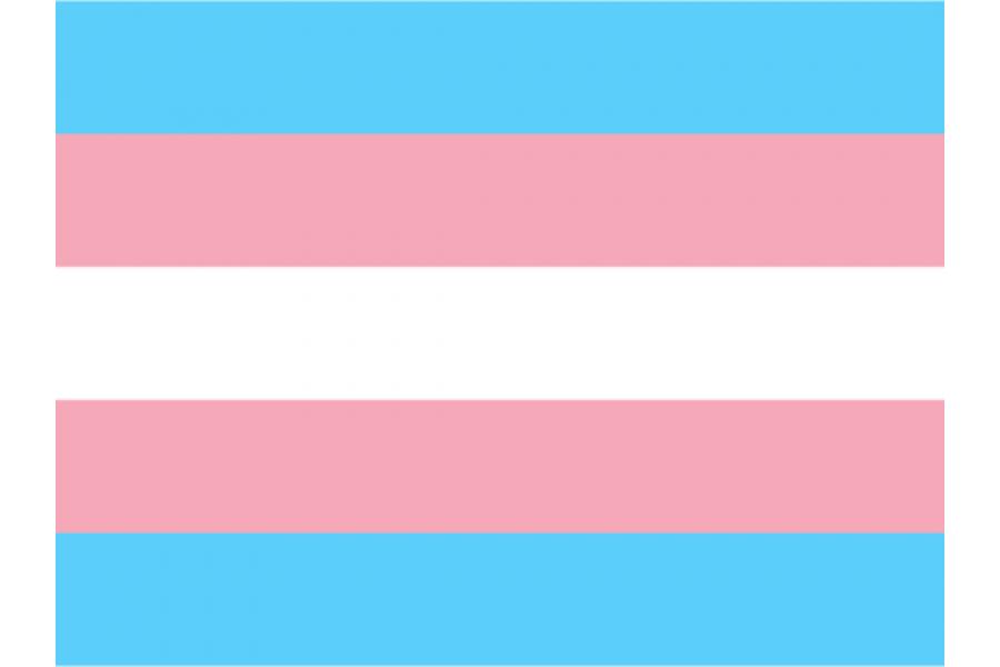 bandera de transgenero