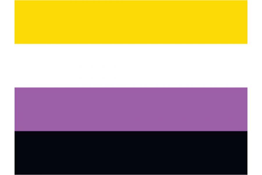 bandera no binaria