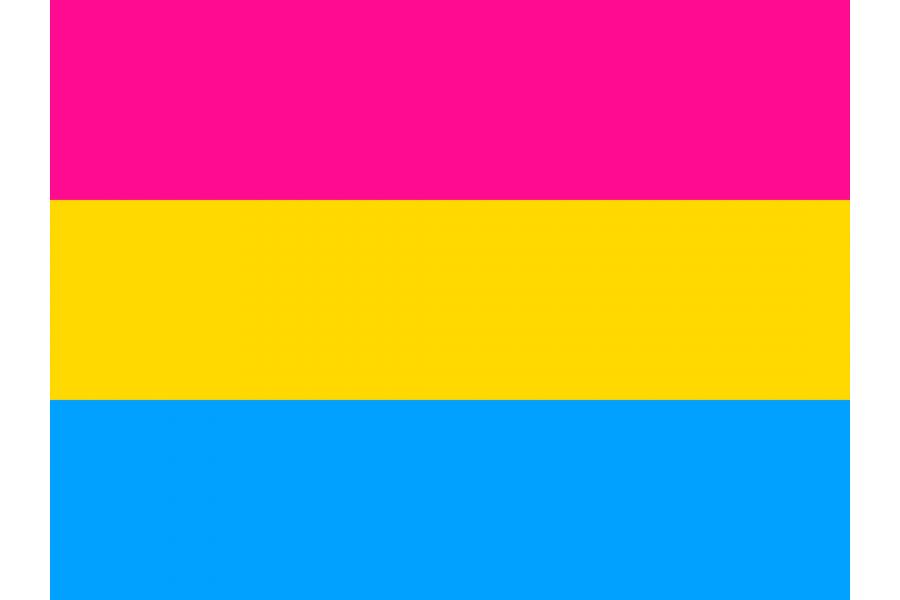 bandera pansexual