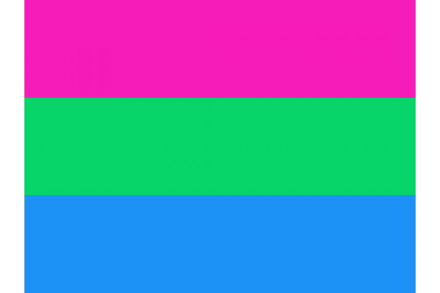 bandera polisexual