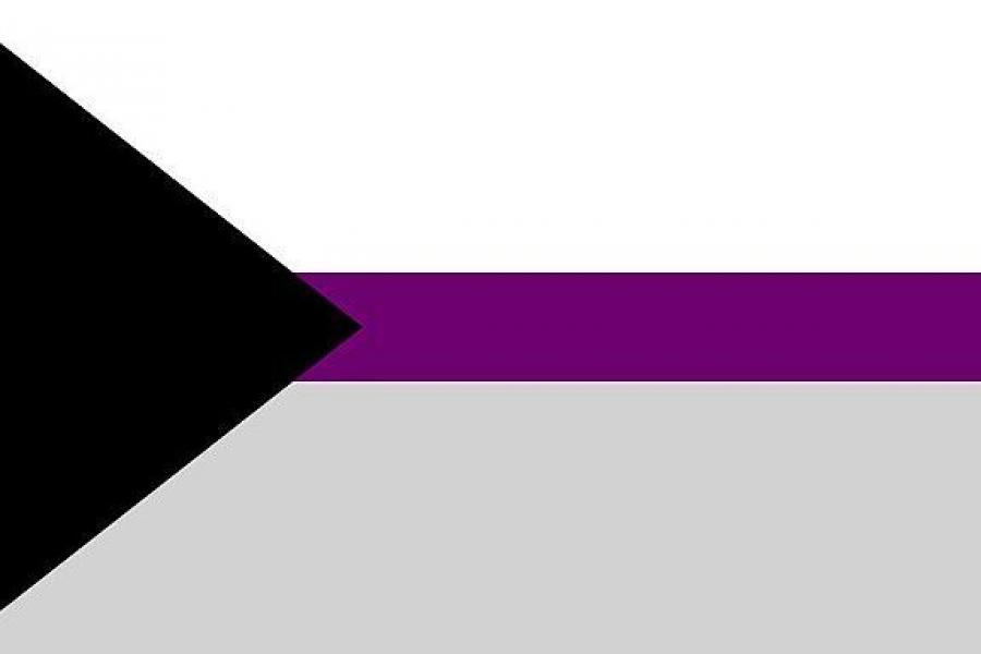 demisexual