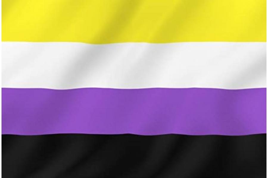 orgullo no binario