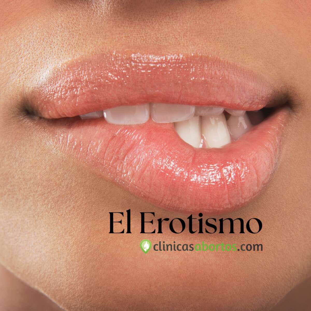 Erotismo