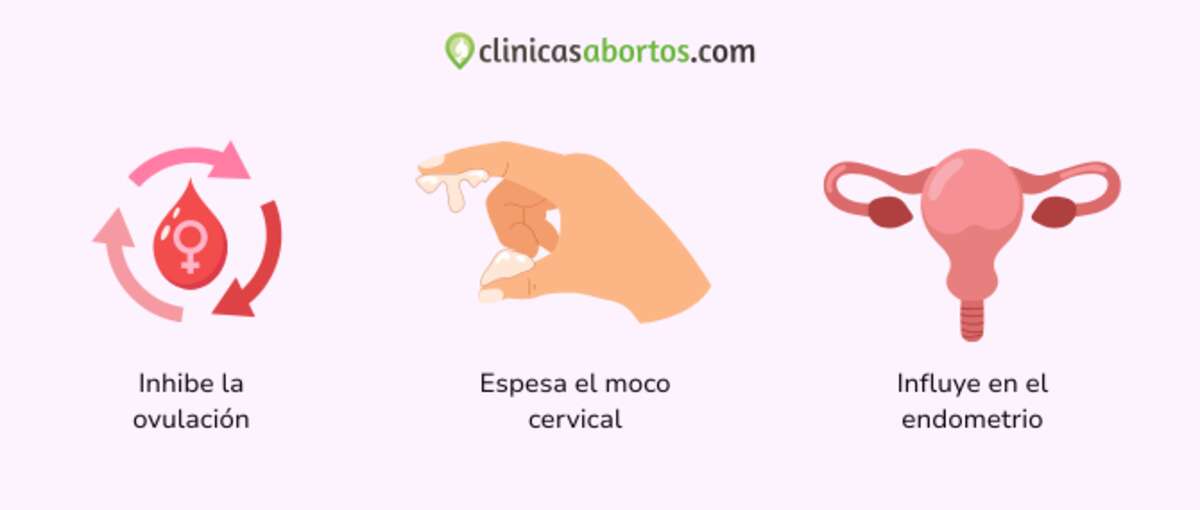 Como funcional el anillo vaginal