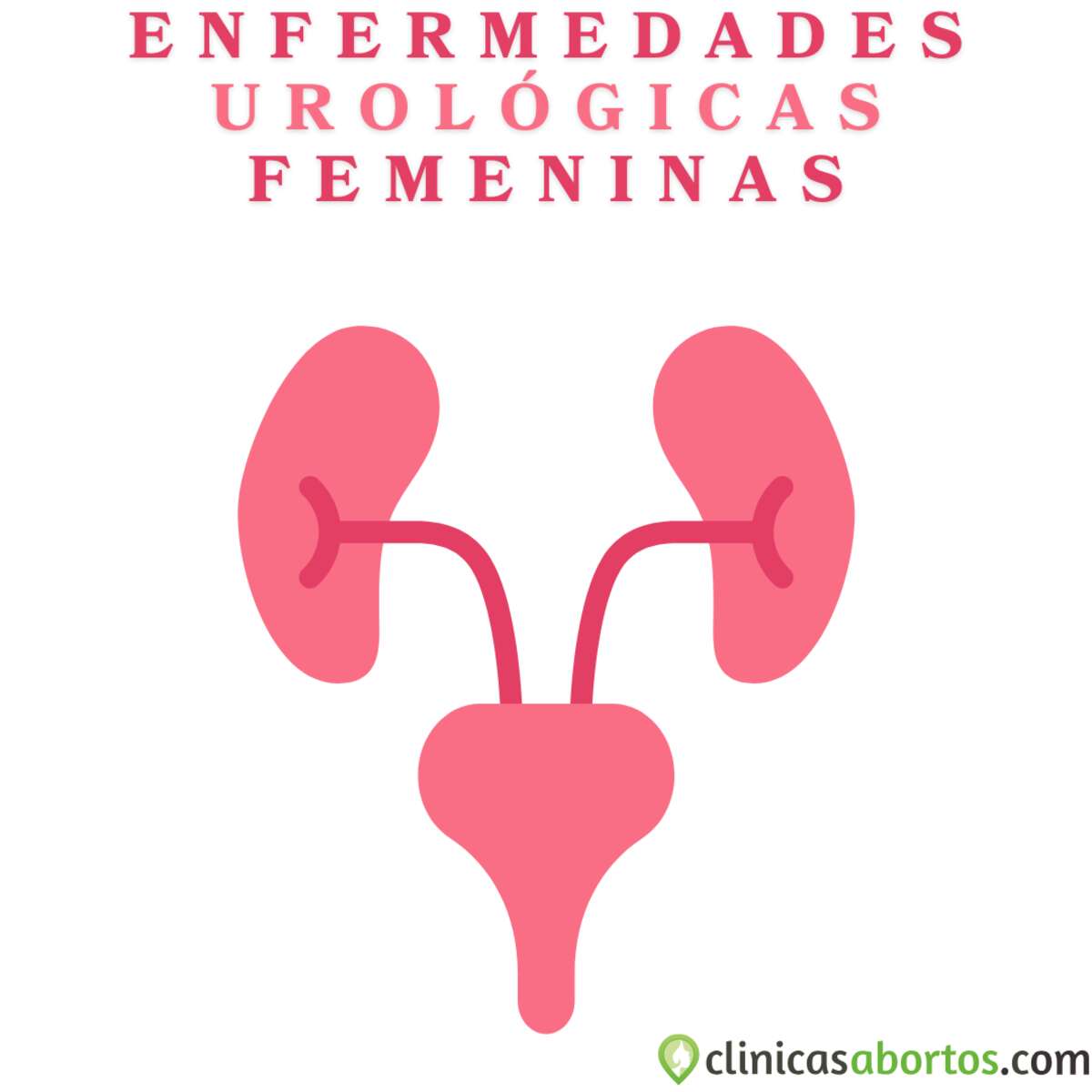 Problemas urológicos en la mujer