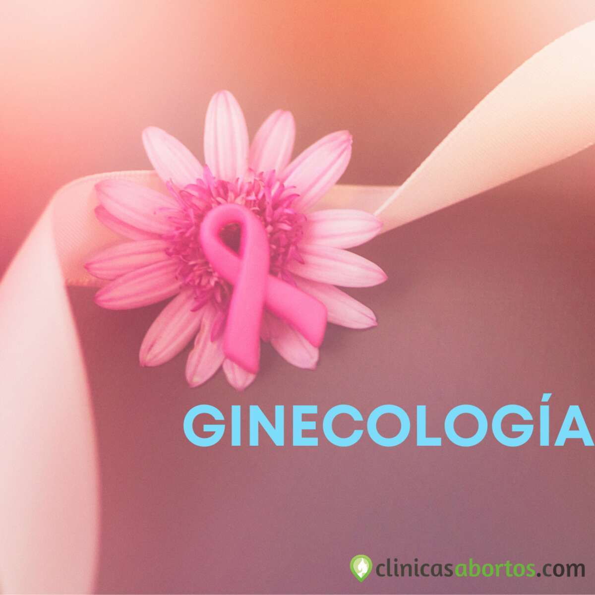 Ginecologia