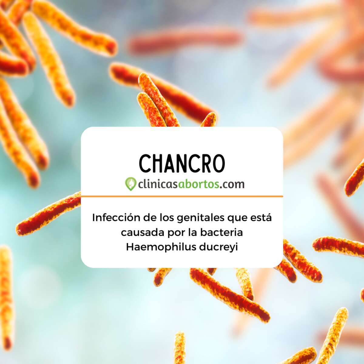 Chancroide