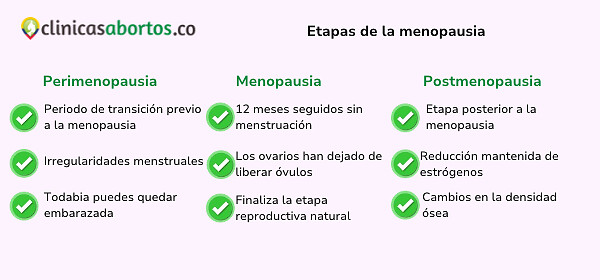 a0d550c2bf0342e48bb1718b06c99f26 etapas de la menopausia