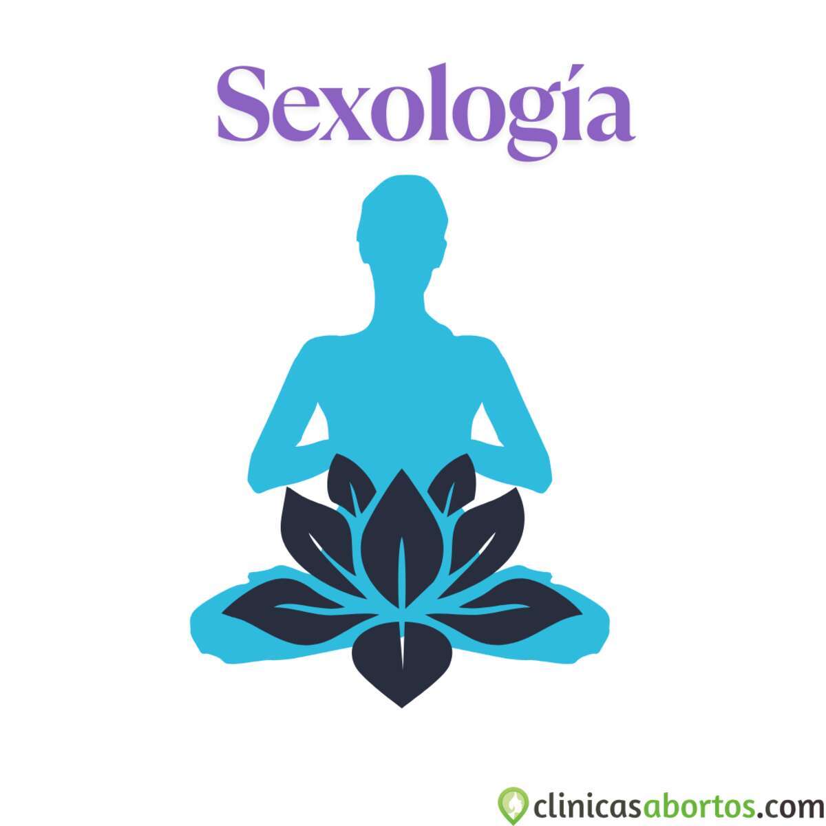 Imagen que representa la sexologia