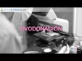 Ovodonación - Unidad de Reproducción Centro Gutenberg