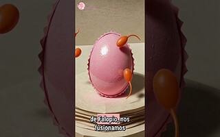 ¿Cuál es la función del ovario?