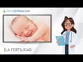 Qué es la fertilidad - Masculina y femenina